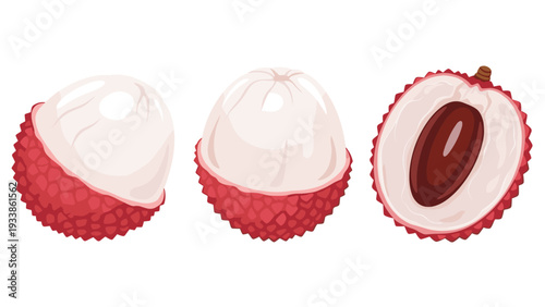 Set of three fresh lychee illustrations showing the fruit being peeled to reveal its translucent white flesh and brown seed.