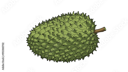 Detailed sketch-style illustration of a whole soursop, or graviola, fruit, showing its spiky green exterior on a white background.