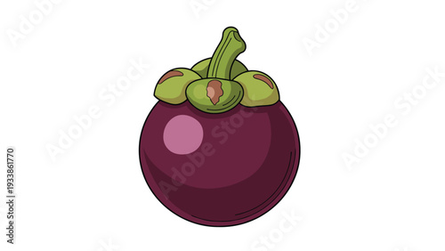 Simple cartoon illustration of a whole mangosteen, the queen of tropical fruits, showing its purple rind and green calyx.