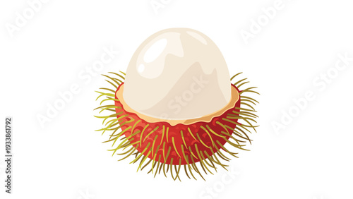 Juicy-looking rambutan fruit illustration, with half of its spiky red peel removed to show the sweet, white flesh inside.