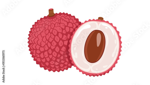 Simple and clean illustration of a whole lychee fruit next to a half, showing its rough pink skin, white flesh, and brown seed.