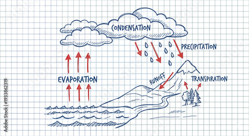 The water cycle process diagram showing evaporation condensation precipitation and runoff on a grid background