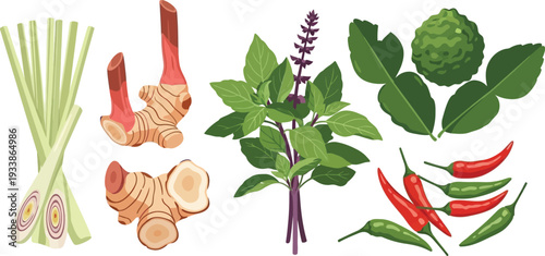 Collection of fresh thai cooking ingredients like lemongrass, ginger, basil, chili and lime leaves