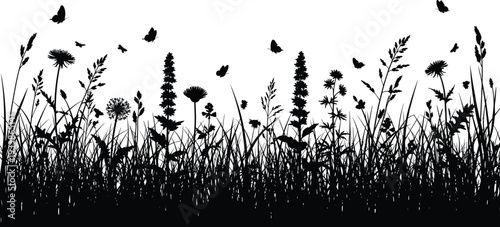 Black silhouette border of wild meadow grass wildflowers dandelions tall stems butterflies flying blooming spring summer nature landscape isolated vector