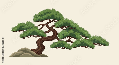 Stylized Pine Tree Illustration