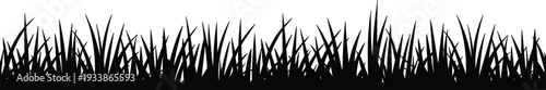Black silhouette of tall wild grass blades meadow lawn field border detailed blades various heights nature landscape element isolated vector illustration