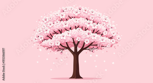 Cherry Blossom Tree Blooming Pink Flowers Spring Season
