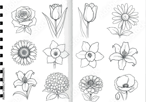 A collection of various flowers and plants illustrated in a sketchbook with black and white drawings from different viewpoints
