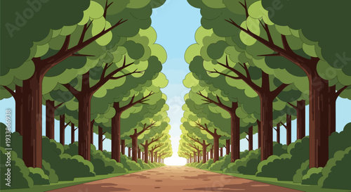 Straight Road Lined With Trees Leading to Light