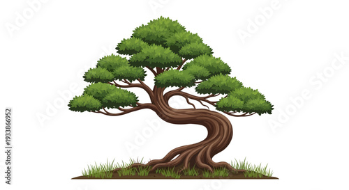 Twisted Bonsai Tree, Artistically Shaped, Green Foliage