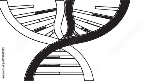 Close-up illustration of a DNA double helix with intertwined strands and base pairs.