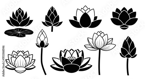 Collection of Vector Illustrations of Lotus Flowers in Various Stages of Bloom and Bud, Black and White, Isolated on White Background
