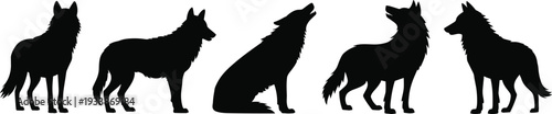 Collection of black wolf silhouettes including standing profile sitting howling majestic wild wolf side view front view isolated vector set