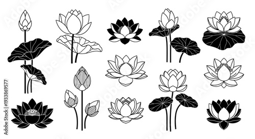 Collection of diverse lotus flower illustrations in black and white, featuring delicate petals and green leaves, suitable for various design applications