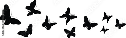 Elegant black butterfly silhouettes in various flying poses delicate wings scattered decorative arrangement isolated on white background vector collection set