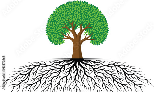 Green tree with lush foliage and extensive spreading roots strong trunk detailed leaves nature growth life family tree symbol isolated vector
