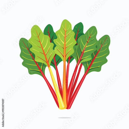 Fresh colorful swiss chard isolated on white background