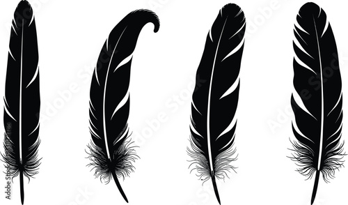 Feather silhouette collection, black and white artwork, decorative bird design, nature inspired vector, detailed feather illustration, artistic sketch, elegant outline