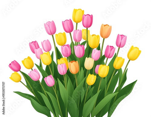 A vibrant cluster of pink, yellow, and orange tulips rising from a mass of green leaves against a white backdrop