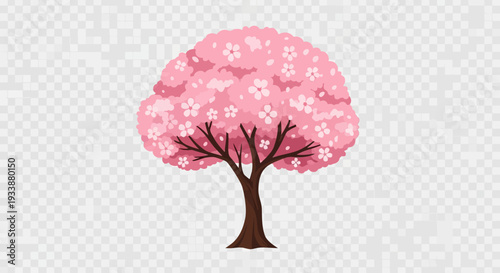 Pink Cherry Blossom Tree Isolated on Transparent Background