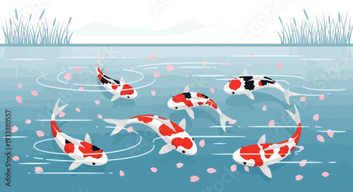 Koi fish swimming in pond with falling petals