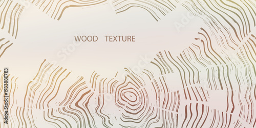 Wood texture frame, wood plank, vector design