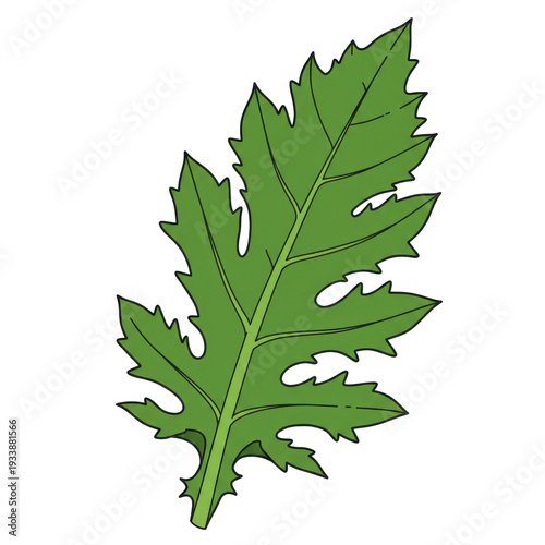 Green leaf drawing on a black background, with detailed veins and jagged edges, flat vector image