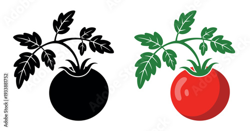 Tomato Plant Flat and Silhouette Vector Illustration with Red Tomato and Green Leaves