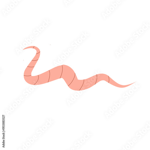 Pinworm Vector