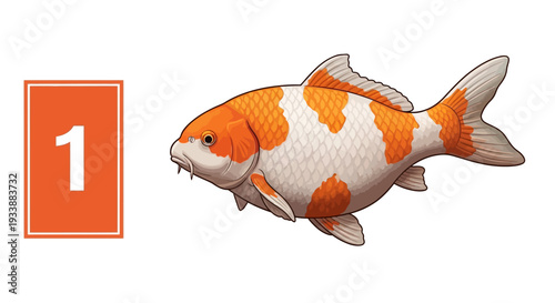 Koi Fish Swimming in Water - Number 1 Graphic