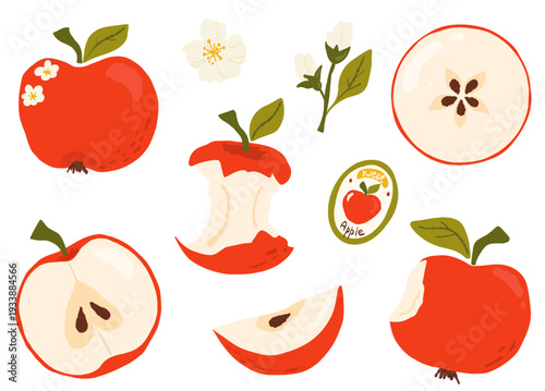 Apple set with whole fruits, slices, core, seeds and blossom, fresh flat vector style on white background. For juice labels, menus, recipes.