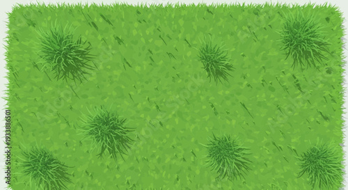 Eco friendly landscape with green grass and plants promoting sustainability and environmental protection on earth day