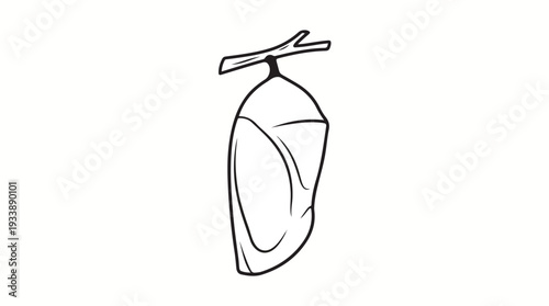 Chrysalis Hanging from a Twig Insect Metamorphosis Symbol.