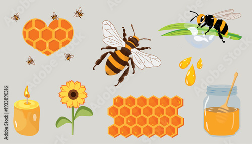World Bee Day Vector Set with Bees, Honeycomb, Honey Jar and Flowers Isolated on White Background
