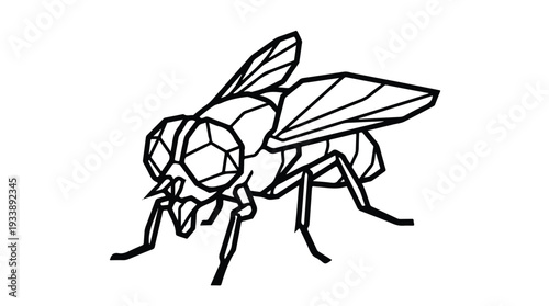 Stylized Line Art Illustration of a Housefly.