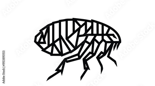 Geometric Flea Insect Illustration Black and White.