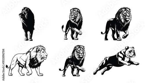 Majestic female lion silhouette vector collection
