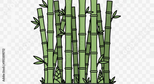 Green Bamboo Stalks Illustration