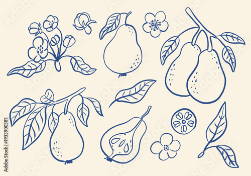 Retro Hand-Drawn Pear Fruit Set