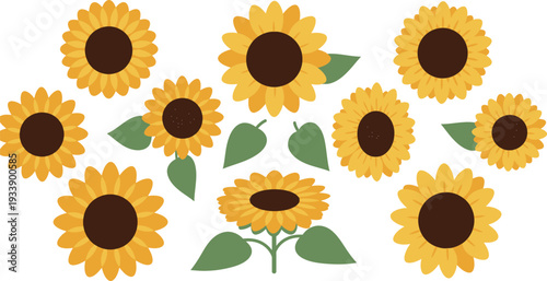 A vibrant yellow sunflower bloom captures the essence of summer nature with its bright petals and floral beauty in a sunny garden