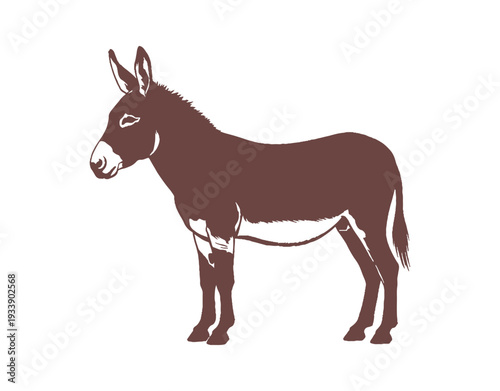 Vector Silhouette of a Donkey