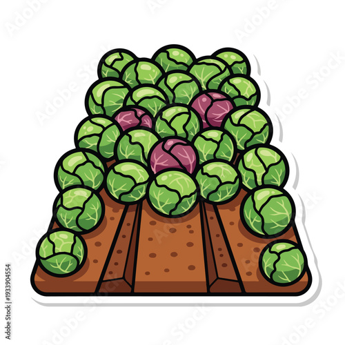 A vibrant illustration of brussels sprouts growing in a garden bed from a high angle viewpoint