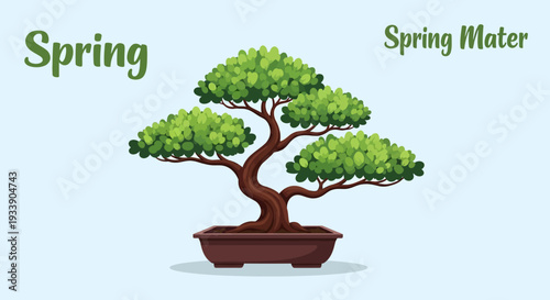 Bonsai Tree in Spring with Lush Green Leaves
