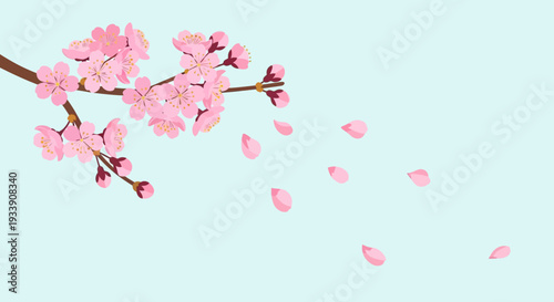 Pink Cherry Blossom Branch Falling Petals Gentle Breeze