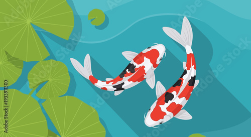 Koi Fish Swimming in Pond with Lily Pads