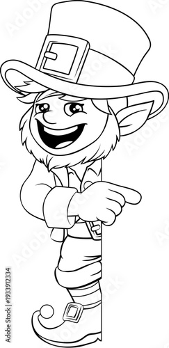 Leprechaun St Patricks day ...