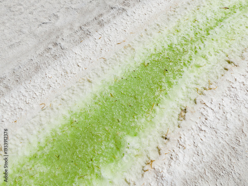 Aerial view of a vibrant green line winding through the stark, white landscape of the Old Chandler Potash Mine Site, Western Australia, Australia.
