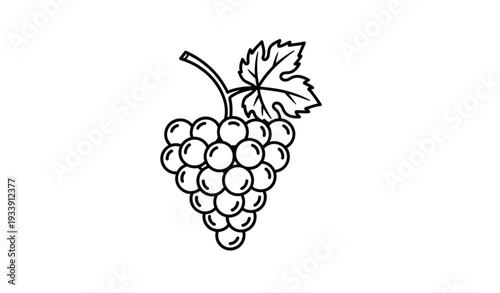 Outline grapes icon with leaf line art fruit vector isolated on transparent background