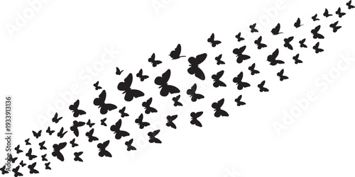 Large flock of black birds flying in formation together
