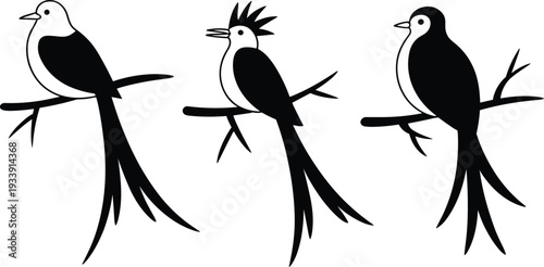 Bird silhouette illustration showing three perched birds with distinct head and tail designs, decorative branches, nature artwork, and wildlife concept.